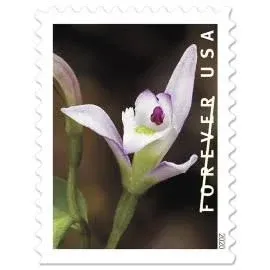 Wild Orchids Book of 20 USPS Stamps