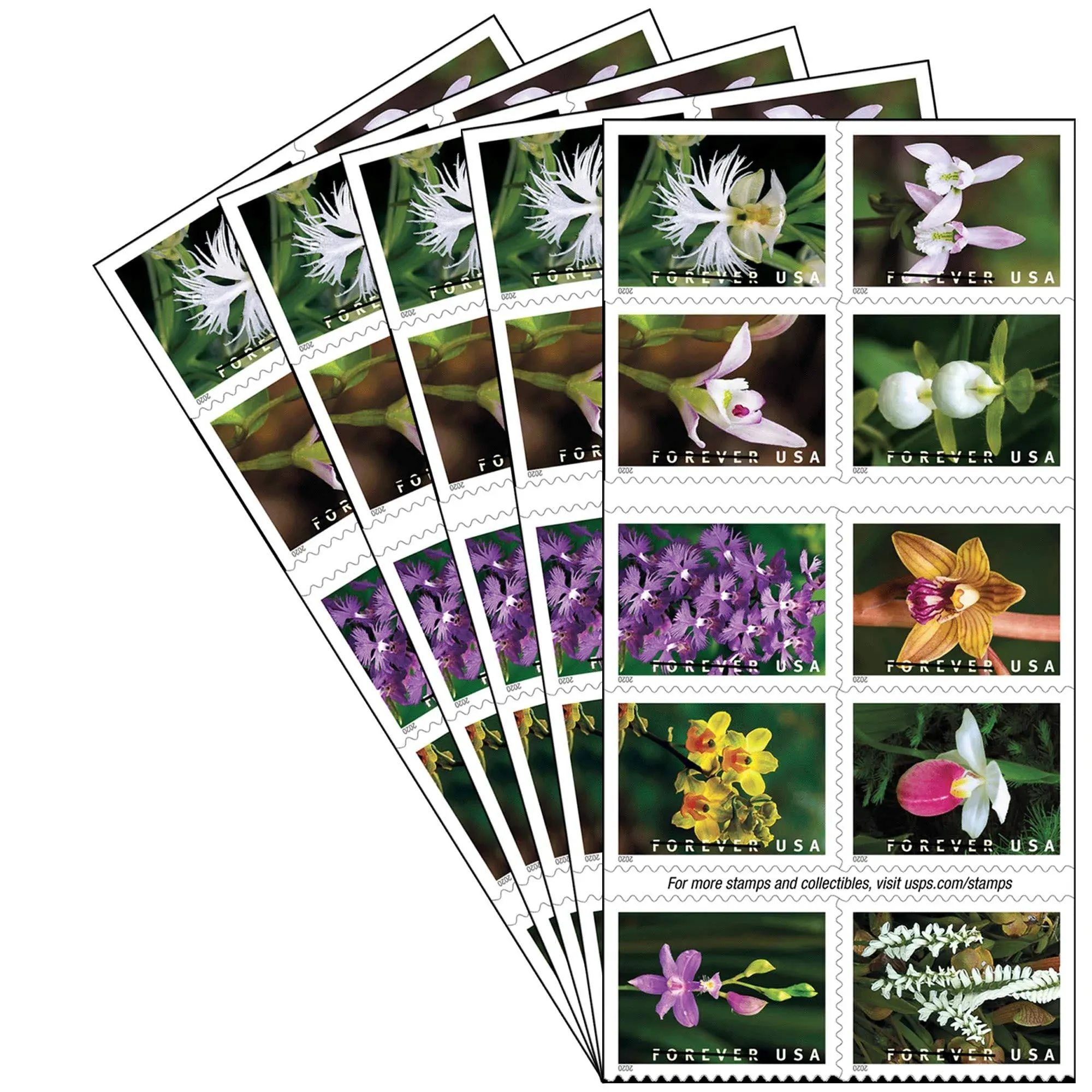 Wild Orchids USPS Postal First Class Forever Postage Stamps