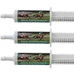 Cox Vet Labs High Endurance Paste 60 mL - 3 pack