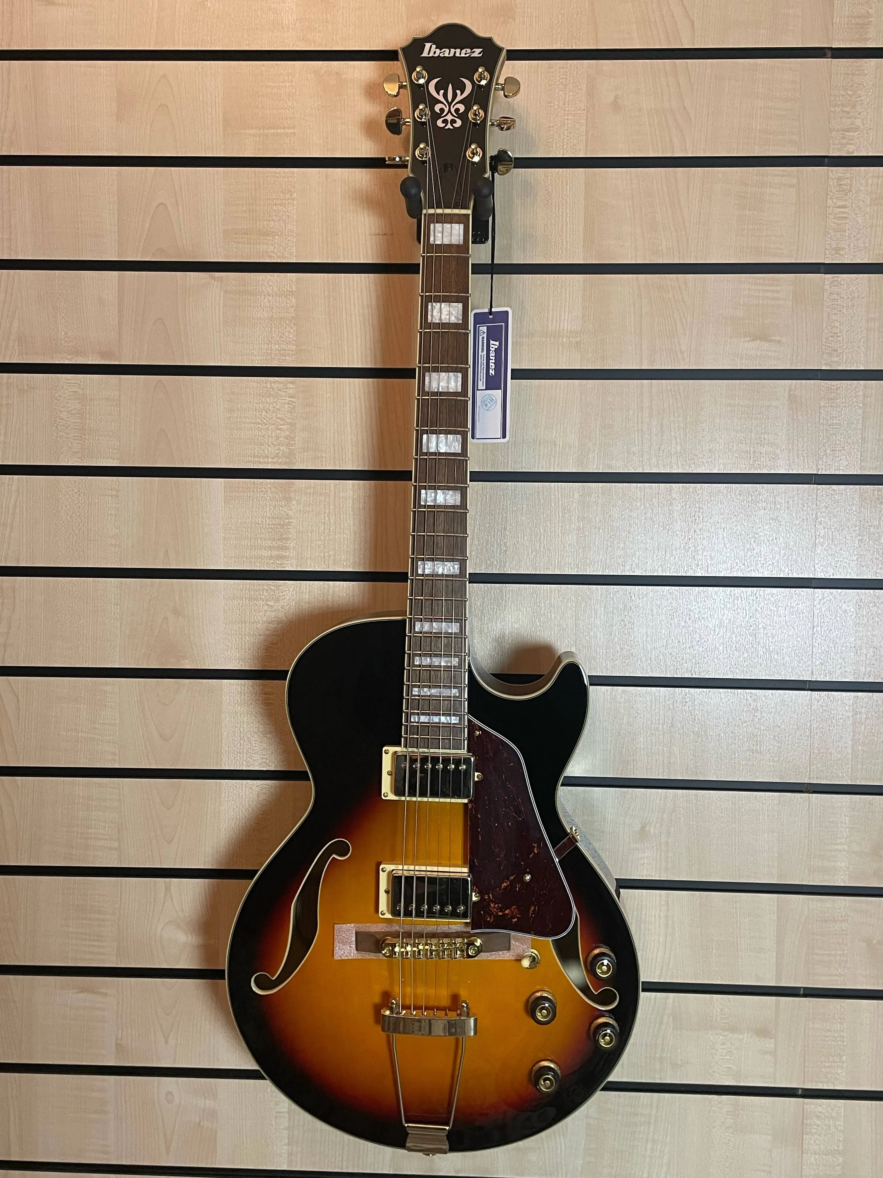 Electric Guitar/Hollowbody