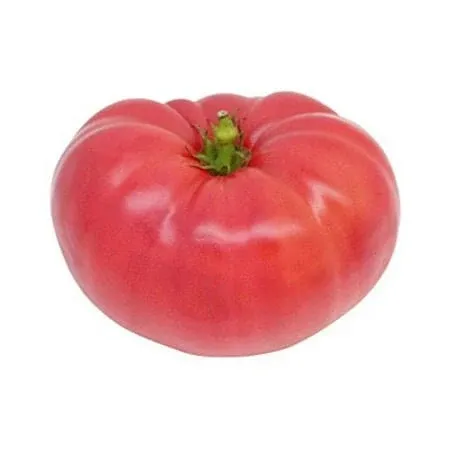 Tomato Ponderosa Pink Great Heirloom Garden Vegetable 100 Seeds