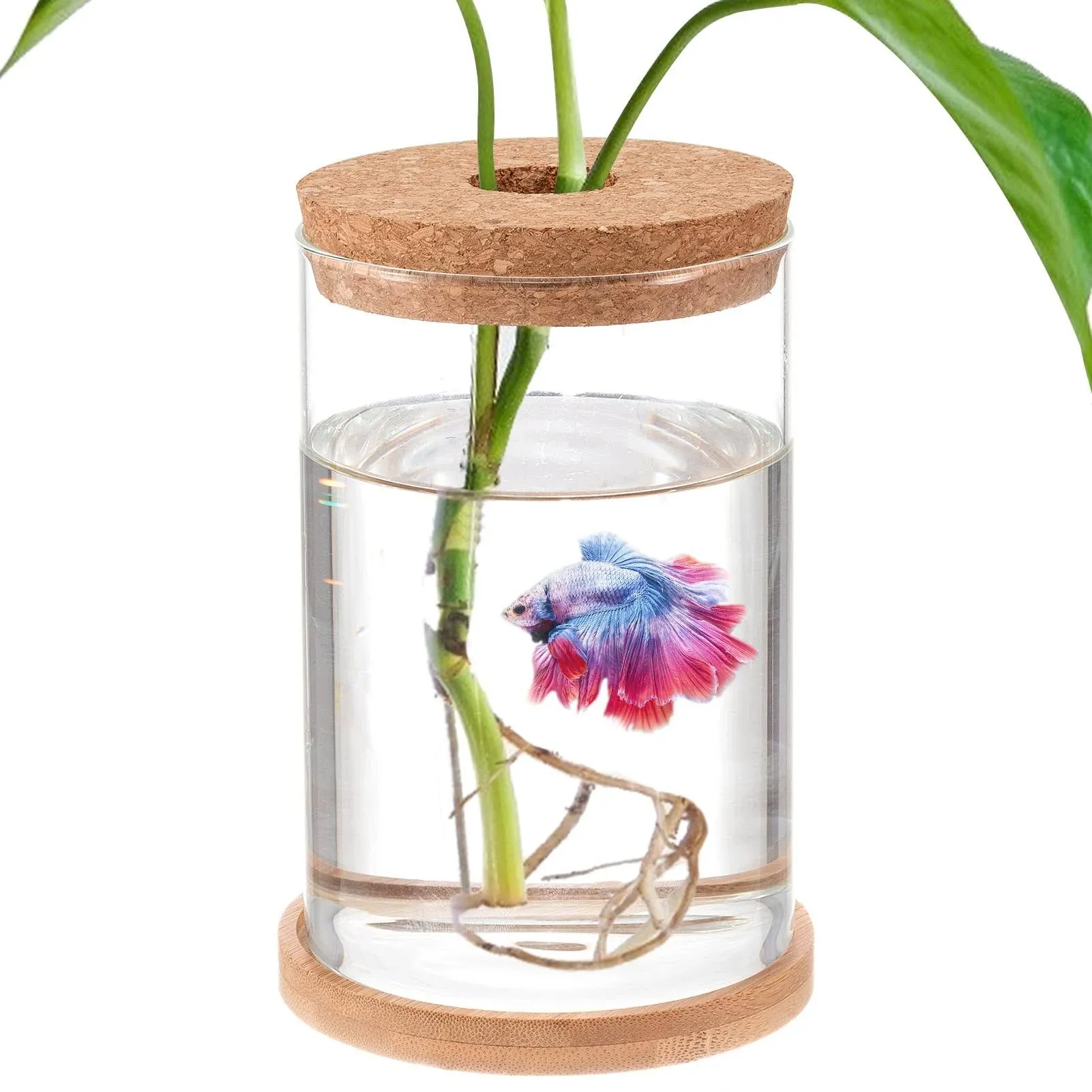 Betta Fish Tank - Mini Fish Bowls for Beta Fish, Glass Aquaponic Fish Tank Clear Hydroponic Plant Terrarium for Promoted Ecosphere Aquatic Ecosystem - 6.7" H * 3.9" D