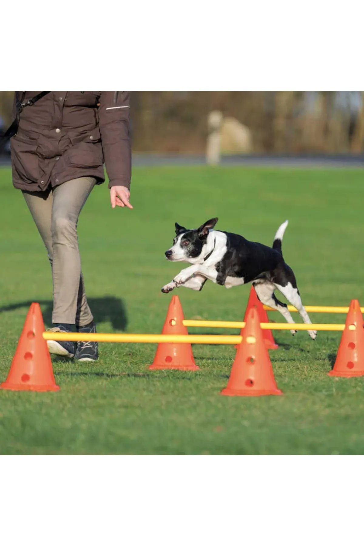 Trixie Dog Agility Hurdle Cone Set