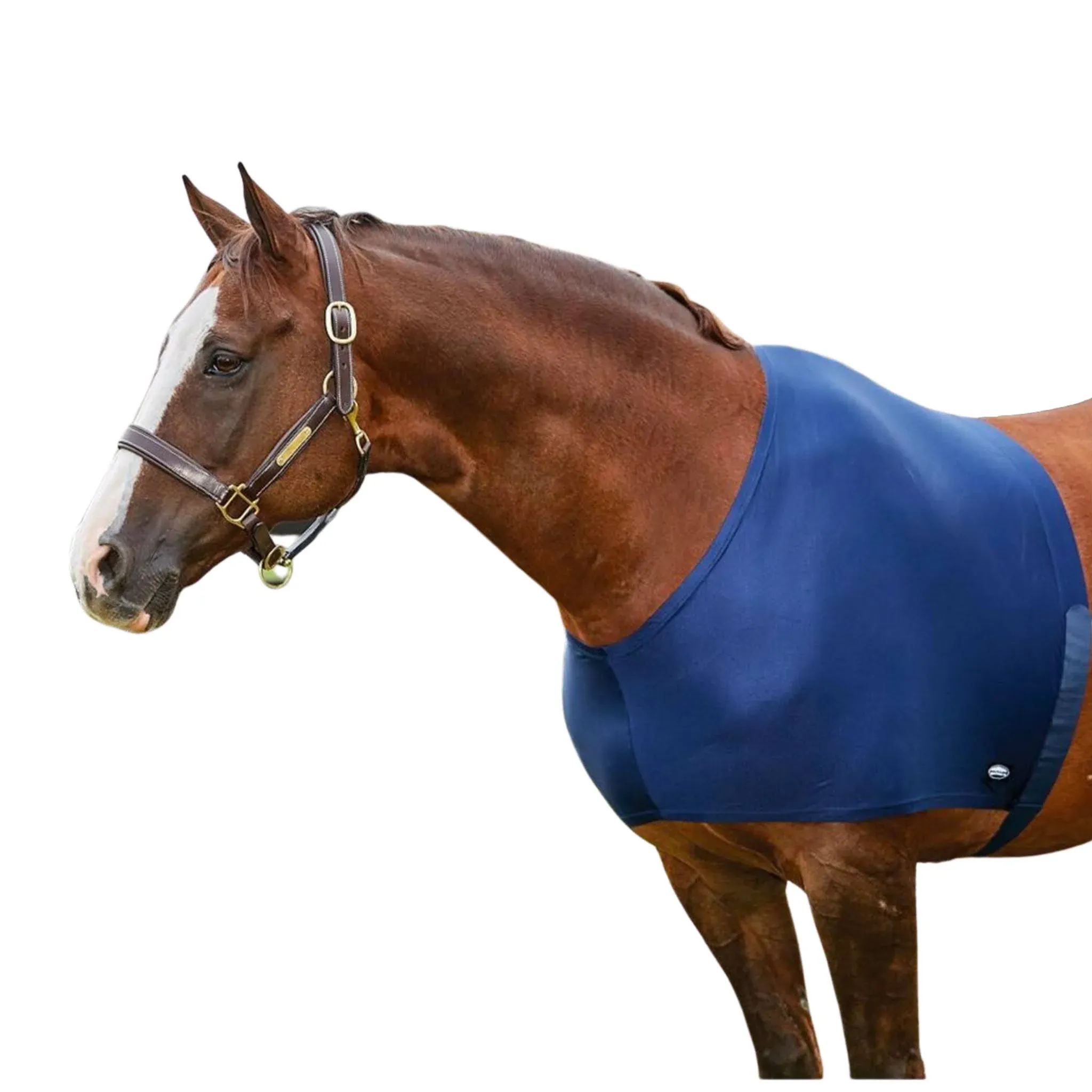 Weatherbeeta Lycra Stretch Shoulder Guard