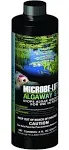 Microbe-Lift Algaway 5.4 for Ponds - 8 oz