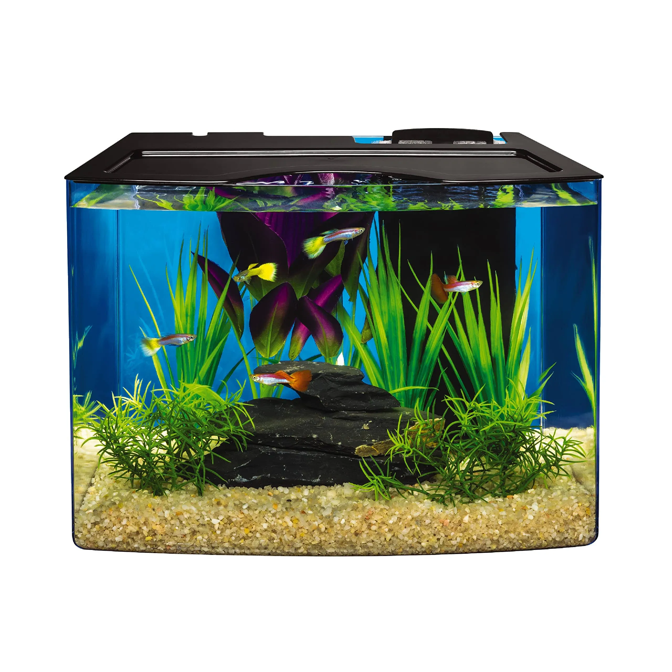 Tetra Aquarium Kit, Fish Tank with Filter & Lights 3 Gallon