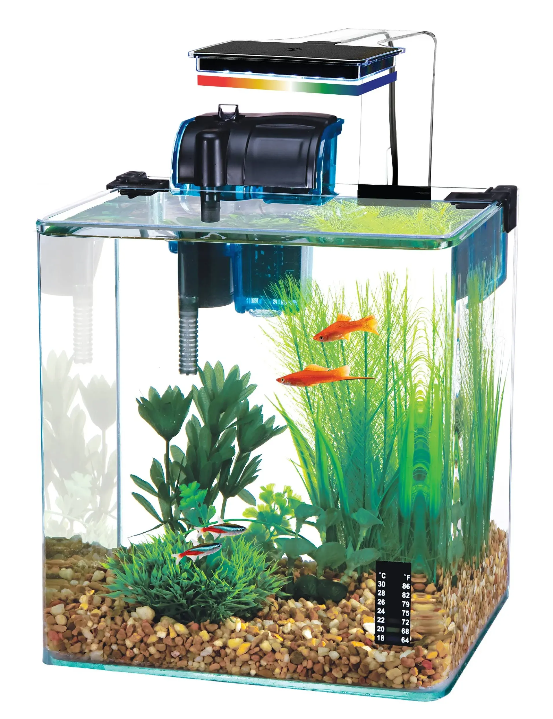 Penn-Plax Water-World Vertex Desktop Nano Aquarium Kit with Multi-Color LED Light – Perfect for Shrimp and Small Fish – 5 Gallon Tank