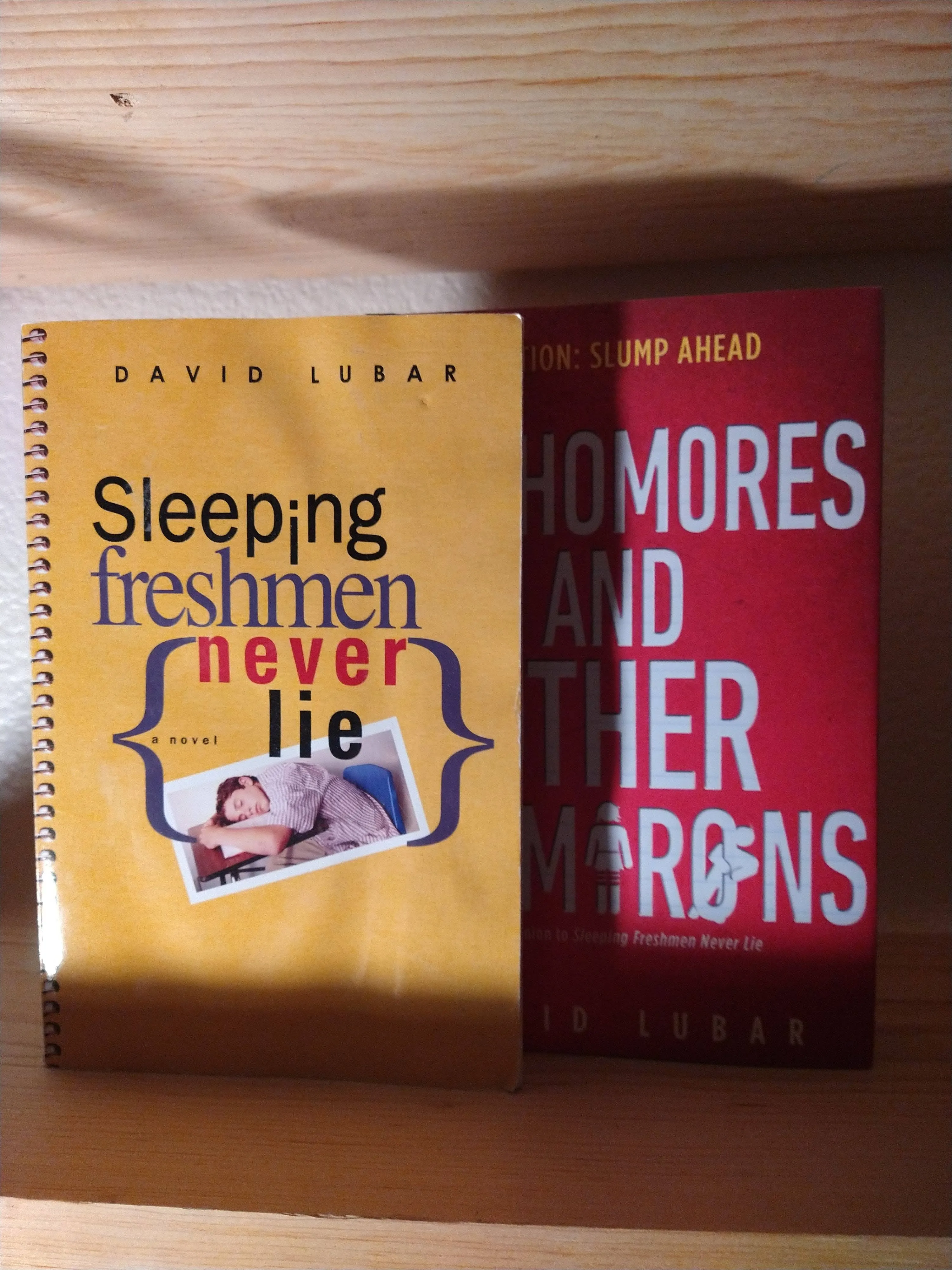 Sleeping Freshmen Never Lie [Book]