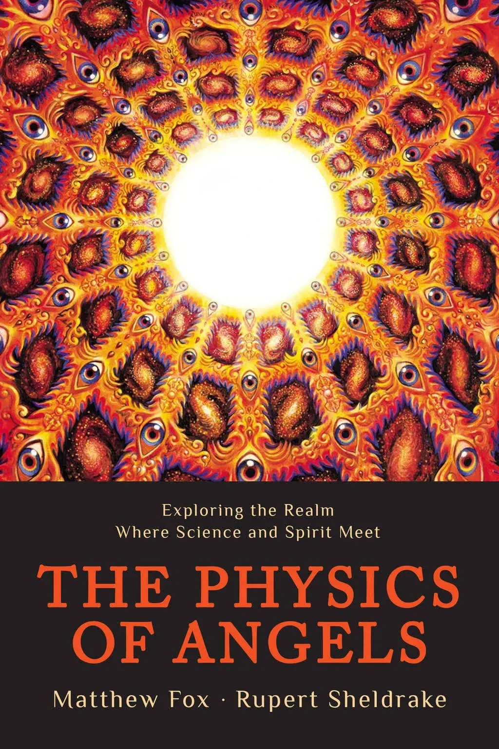 The Physics of Angels: Exploring the Realm Where Science and Spirit Meet [Book]