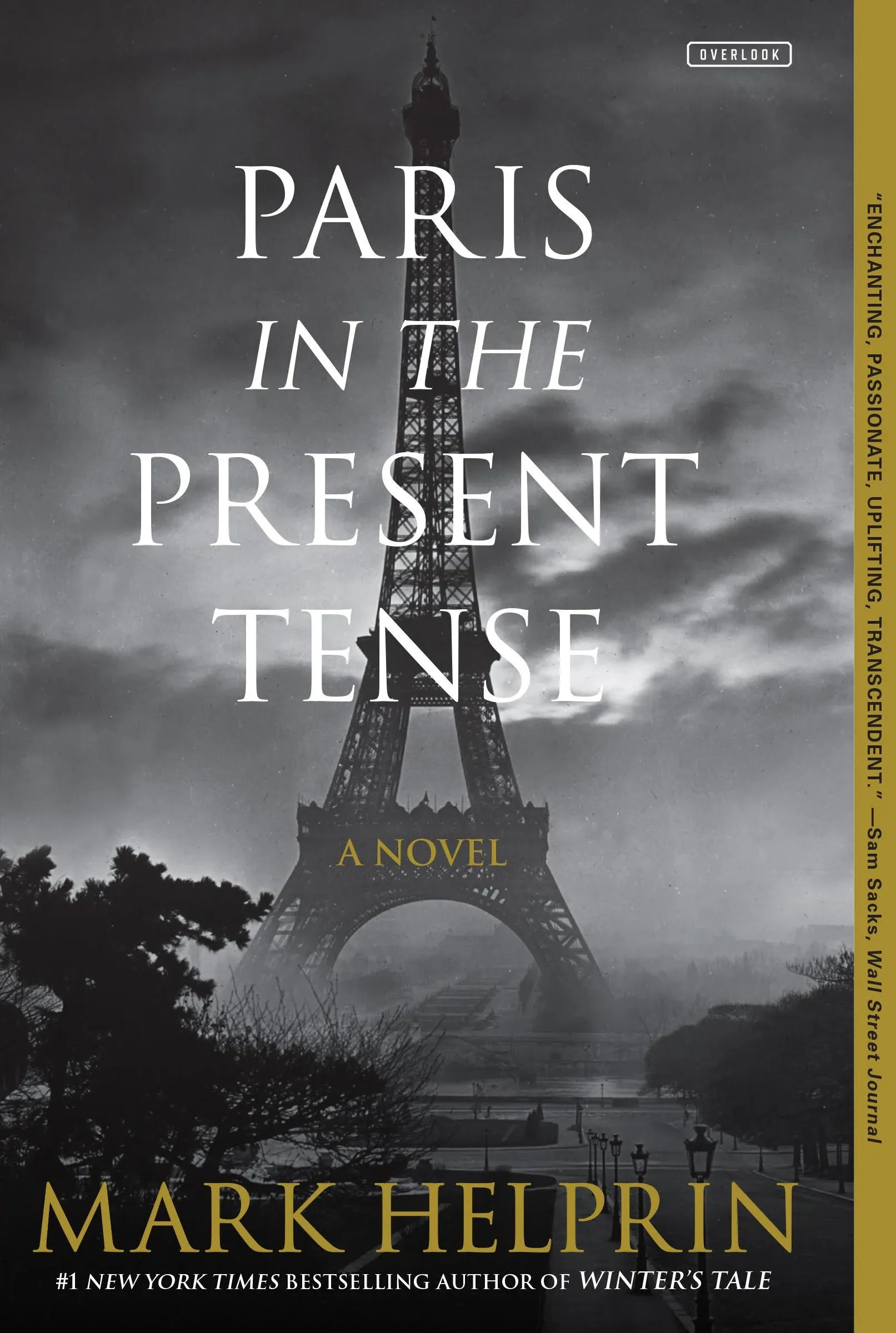 Paris in the Present Tense: A Novel