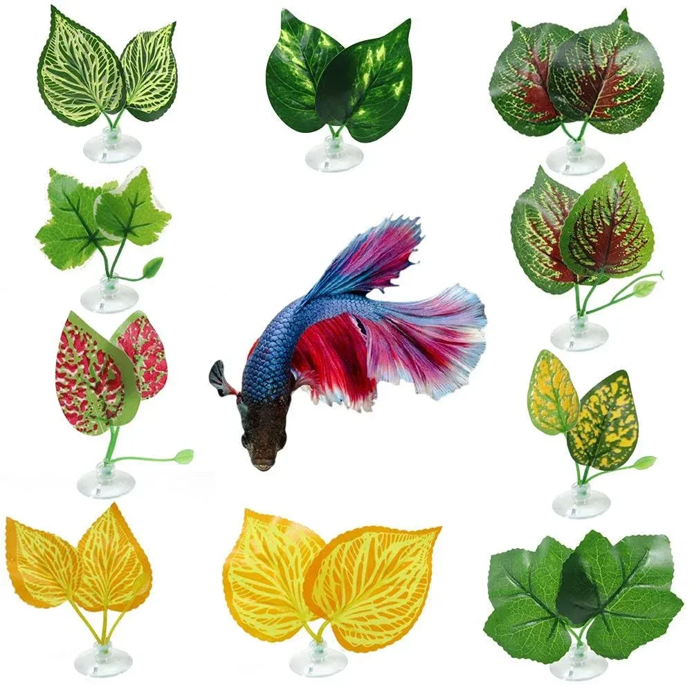 N A 10 Pcs Betta Leaf Hammock Pack, Bed Leaf for Betta Fish, Soft and Large Blue ...