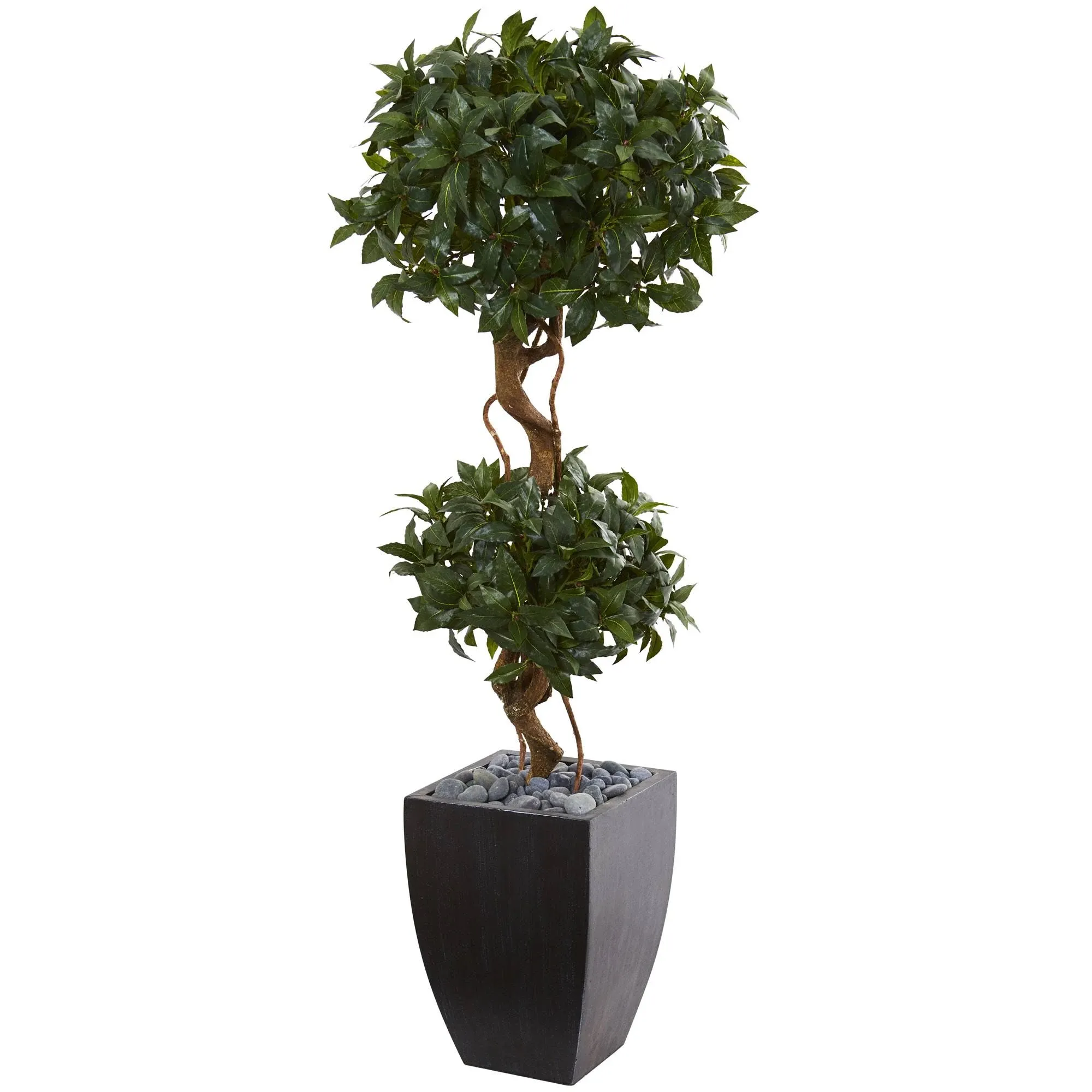 4.5' Sweet Bay Artificial Double Topiary Tree, Black Wash Planter - Contemporary - Artificial Plants And Trees - by Ami Ventures | Houzz