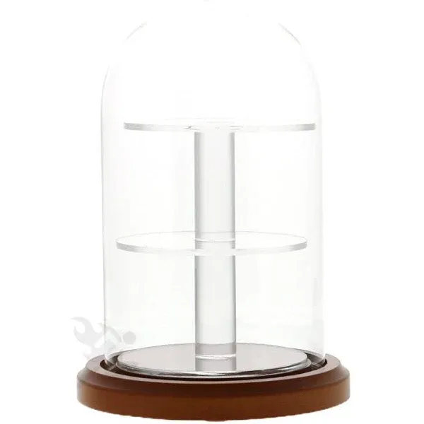 Glass Display Dome Cloche with Walnut Base 4" x 7" Dustproof Showcase with Shelves