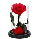  Handmade Preserved Roses in Glass Dome, Long Lasting Red Roses Real, Eternal 