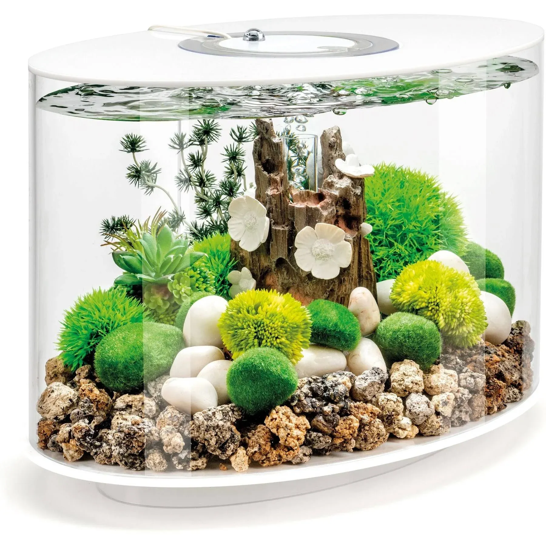 biOrb Loop 15 Aquarium with MCR Light - 4 Gallon, White