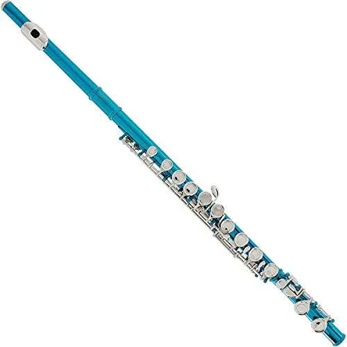 Mendini By Cecilio Flutes - Closed Hole C Flute For Beginners, 16-Key Flute with a Case, Stand, Lesson Book, and Cleaning Kit, Musical Instrument for Kids, Sky Blue Flute