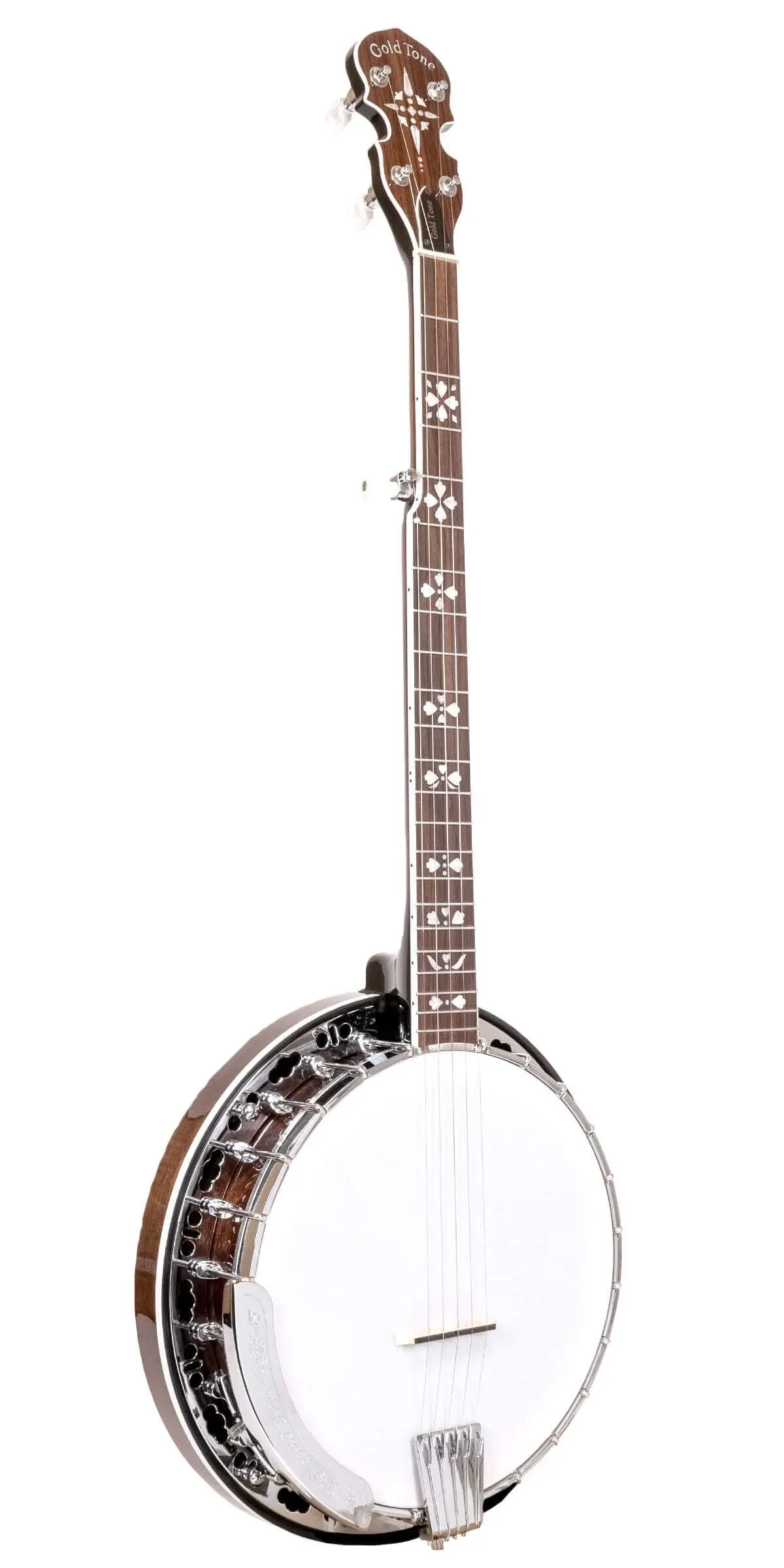 Gold Tone BG-150F Banjo