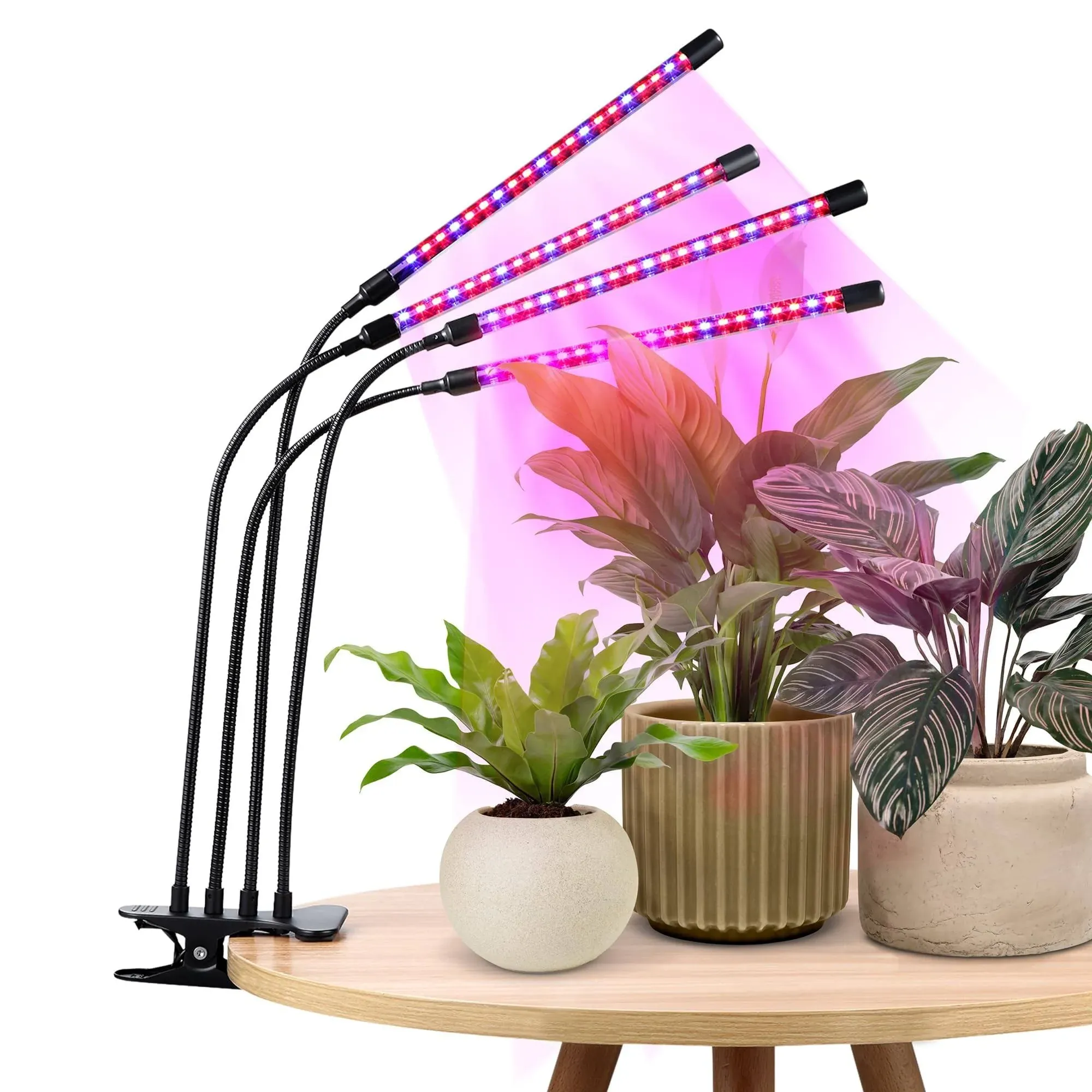 Dartwood LED Grow Lights for Indoor Plants with Red Blue Spectrum - Plant Grow ...