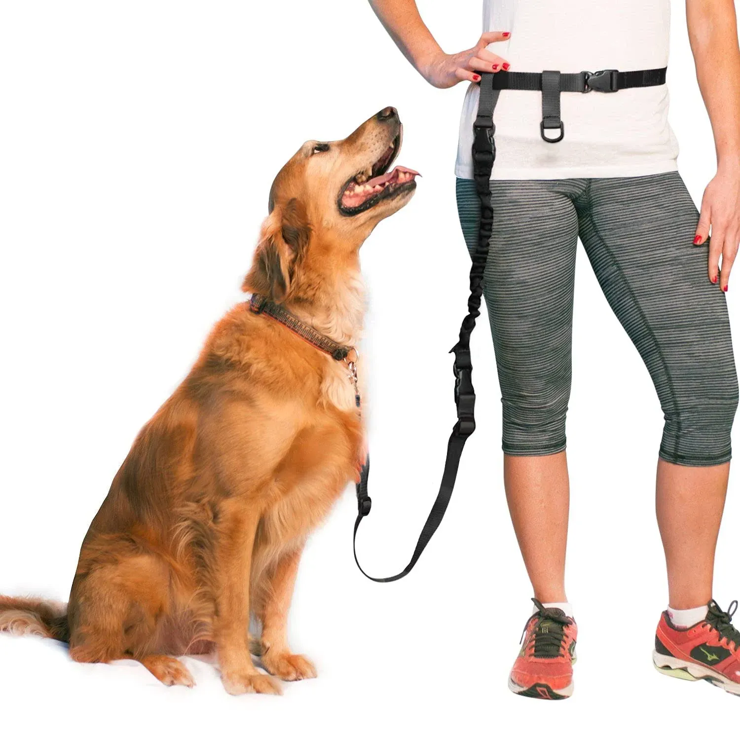 The Buddy System Adjustable Hands Free Dog Leash for Running, Jogging and Training Service Dogs Made in USA Regular Belt 22- 40 Waist, Bundle Leash