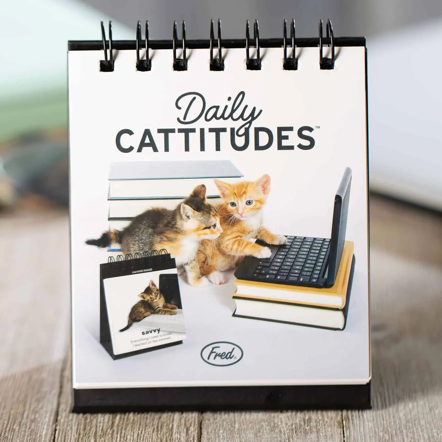 Daily Cattitudes Desktop Flip Book