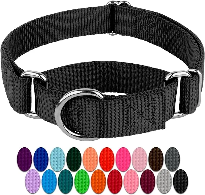 Country Brook Petz Martingale Dog Collar - Heavy-Duty Training Collar with No Buckle - Service Dog Collar for All Pups - Vibrant, Colorful Collection (Black, 1 Inch, Large)