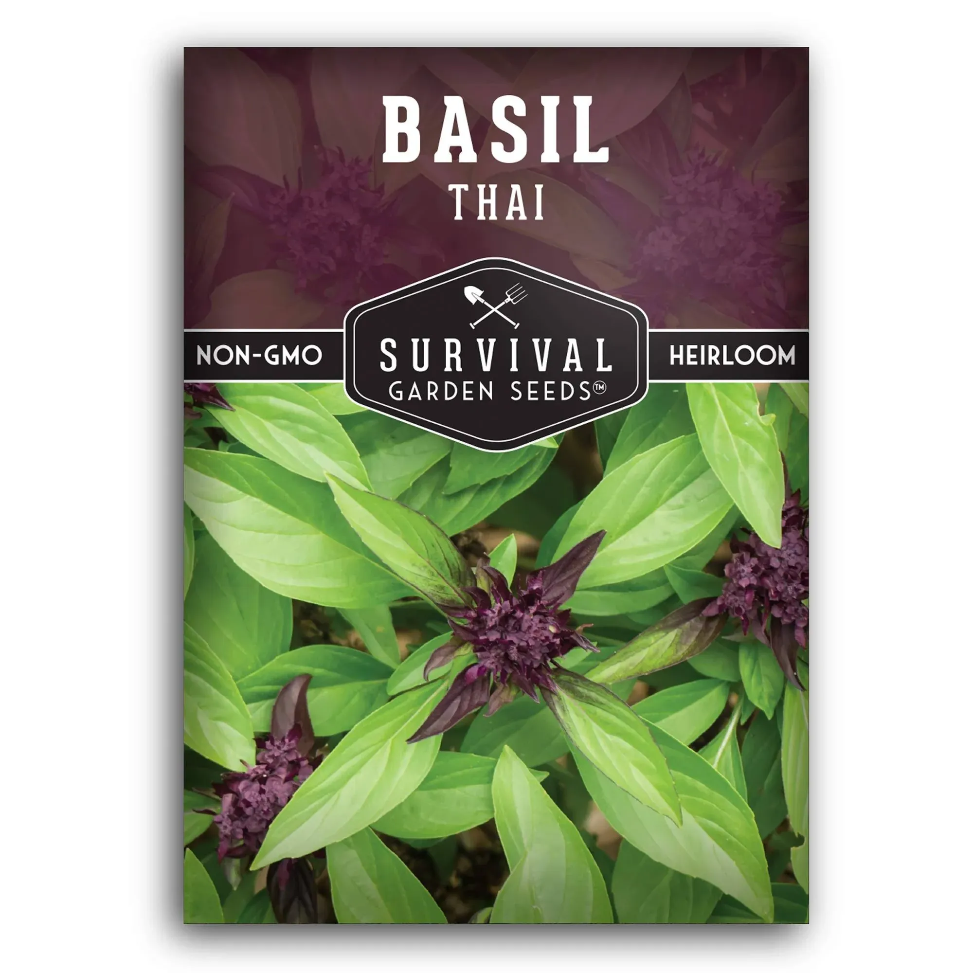 Thai Basil Seed