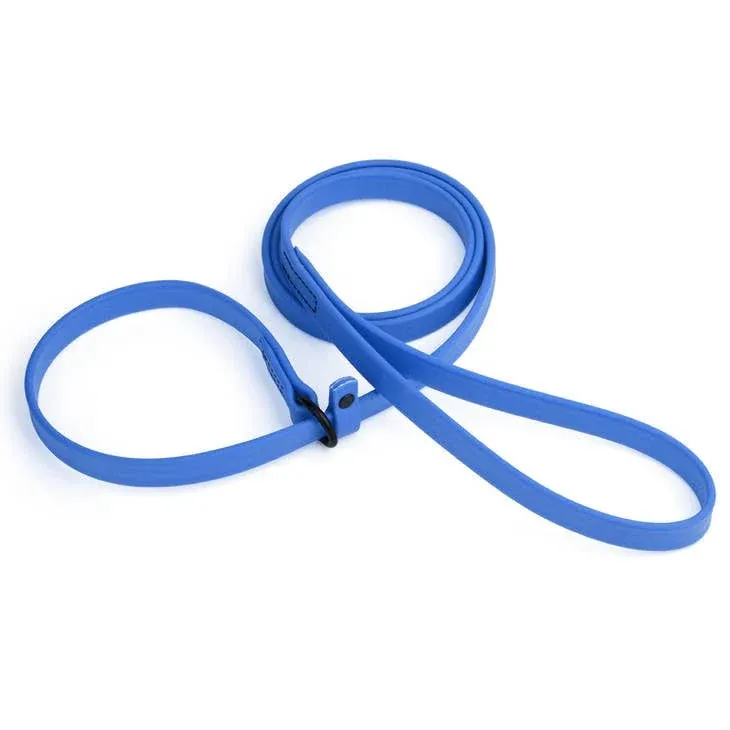 Dogline Biothane Slip Dog Leash - for Small, Medium and Large Dogs - Odor Free Slip Lead, Heavy Duty and Durable Material Kennel Lead - Cerulean Blue - 5ft L x 3/8in W