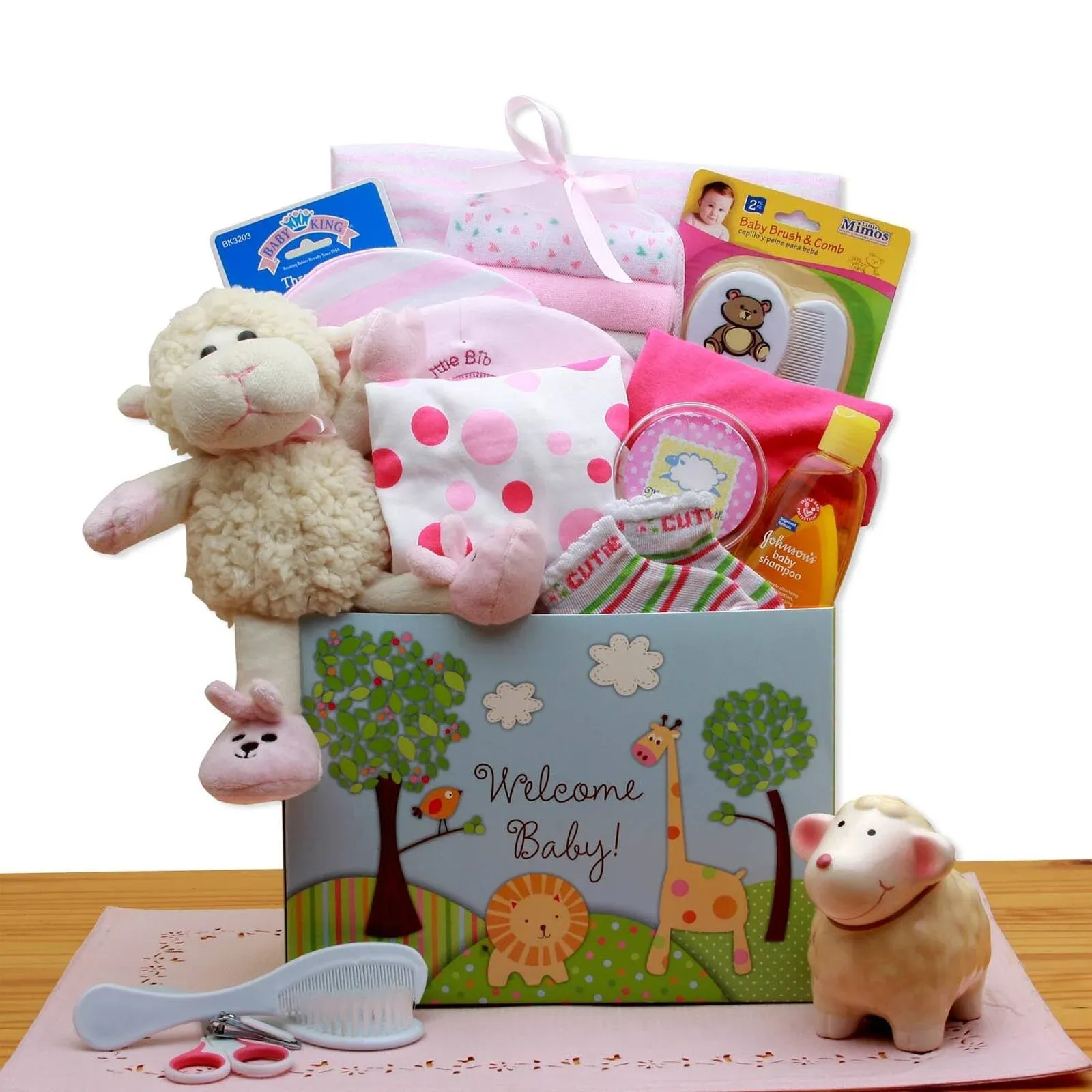 GBDS Welcome New Baby Gift Box