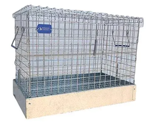 All Things Bunnies Rabbit carrierTransport Cage - 1 Hole (8x14x12)