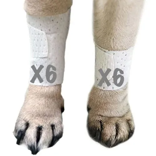 PawFlex Basic Leg Bandages for Dogs Cats Pets -First- Aid Non Adhesive Fur ...