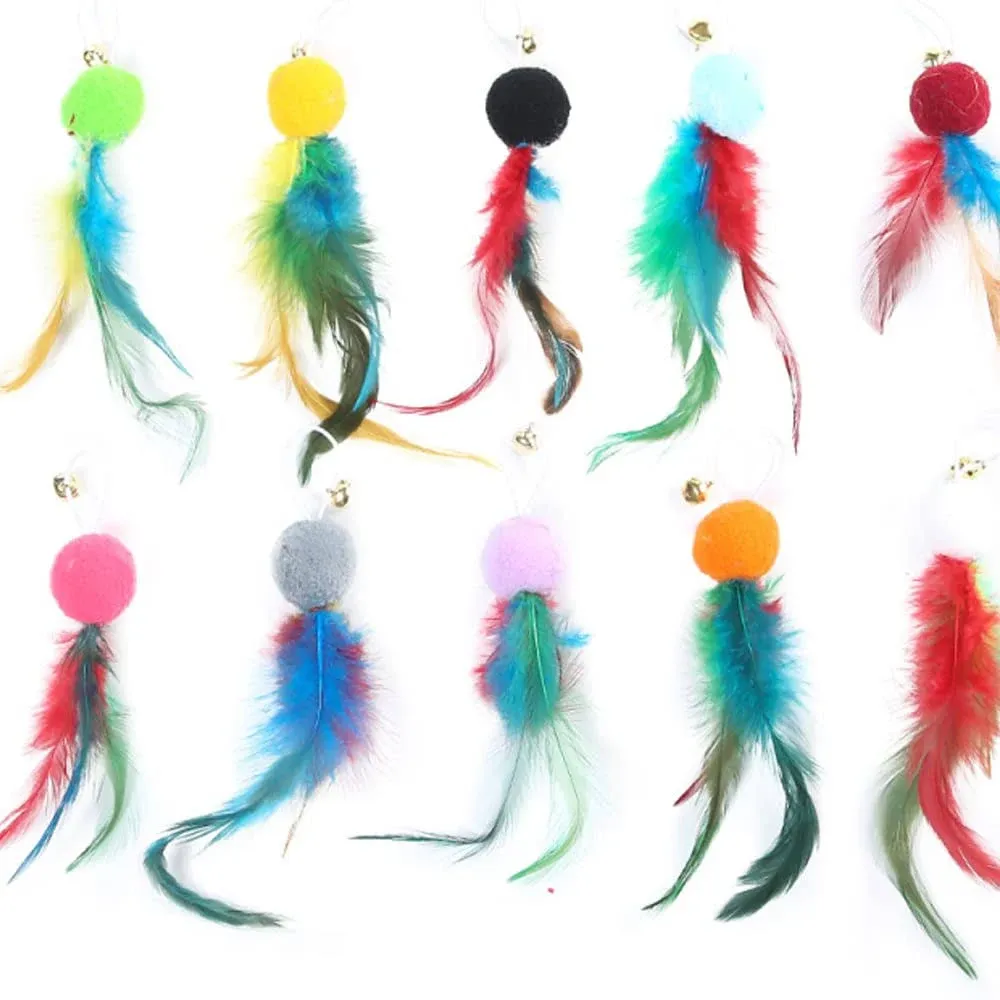 ZZJBGS Cat toys?10 Pieces Cat Feather Toys Natural Bird Feather Refill Worm ...