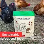 Grub Terra Natural Healthy Chicken Treats, Black Soldier Fly Larvae Made in USA and Canada, for Chicken, Ducks, and Wild Birds, 75x More Calcium Than Dried Mealworms