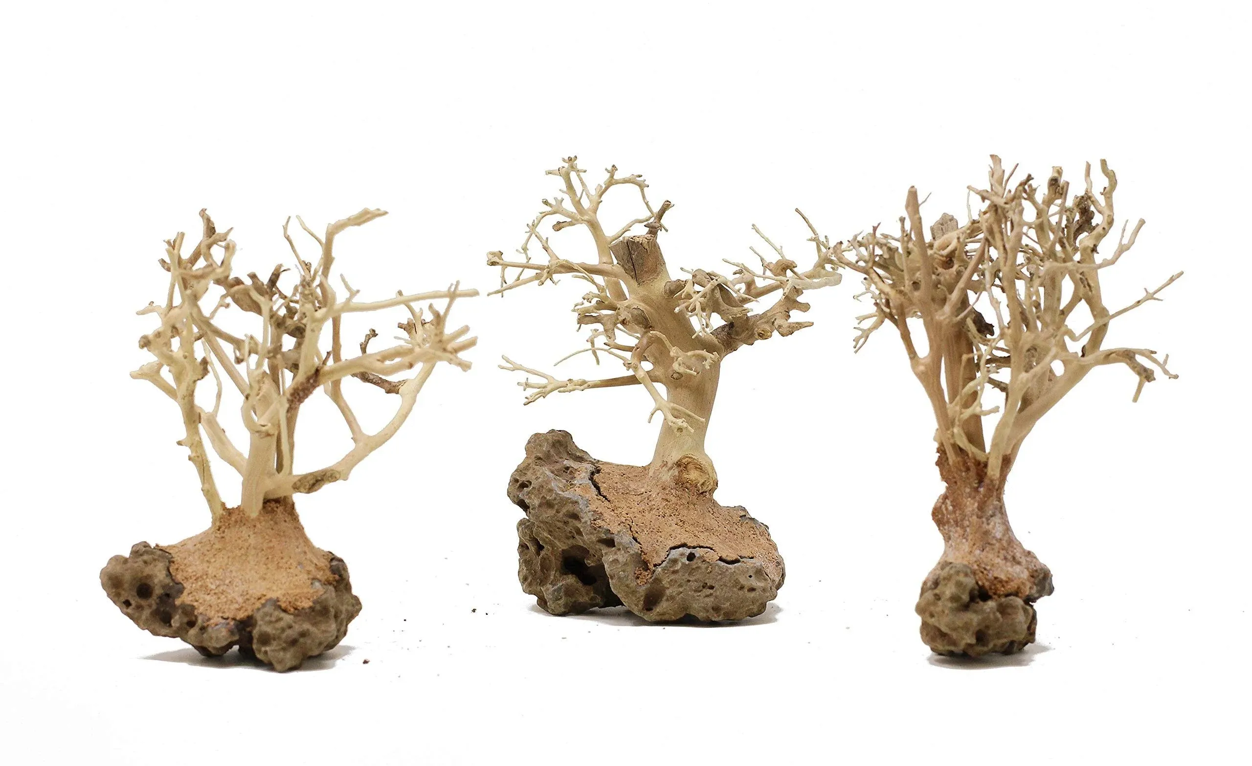 Bonsai Driftwood 3X Mini Aquarium Tree 3BS (3.5 inch Height) Natural, Handcrafted ...