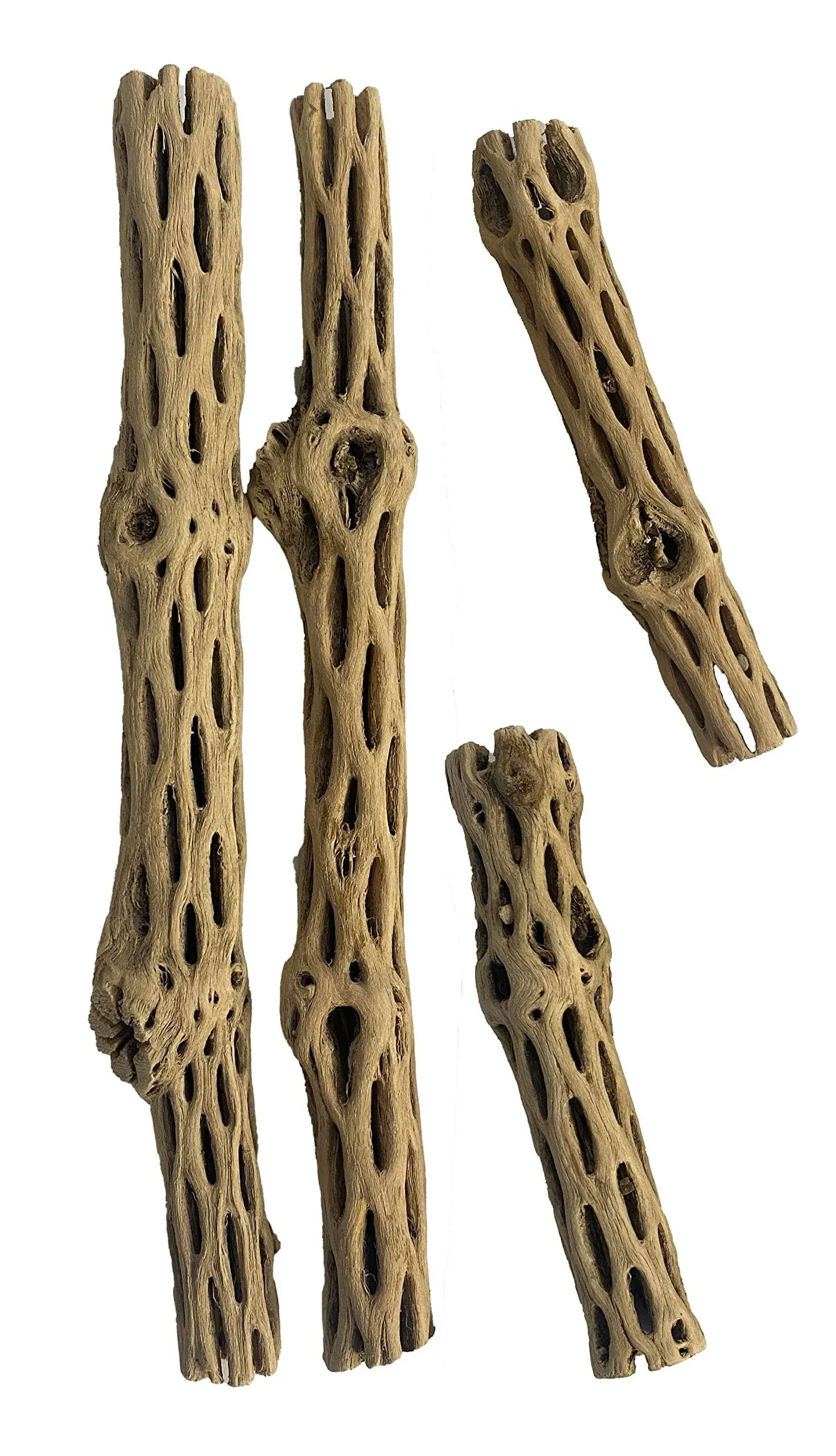 Awesome Aquatic Natural Cholla Choya Wood Combo 4 Pieces 2-12" & 2-6” Habitat for Shrimp Hermit Crabs Plecos Reptiles Aquarium Driftwood Decoration Lowers pH Hideouts and Food Treat Chew Toy Organic