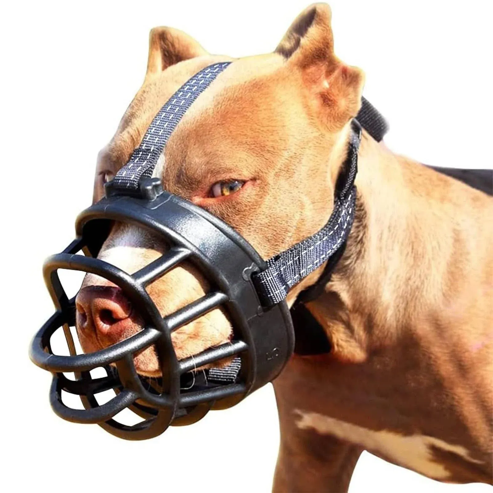 Dog Muzzle,Soft Basket Muzzle for Dogs,Adjustable and Comfortable Secure Pet Muzzle Fit for Medium Large Extra Dog,Best to Prevent Biting, Chewing and Barking, Allows Drinking and Panting 5