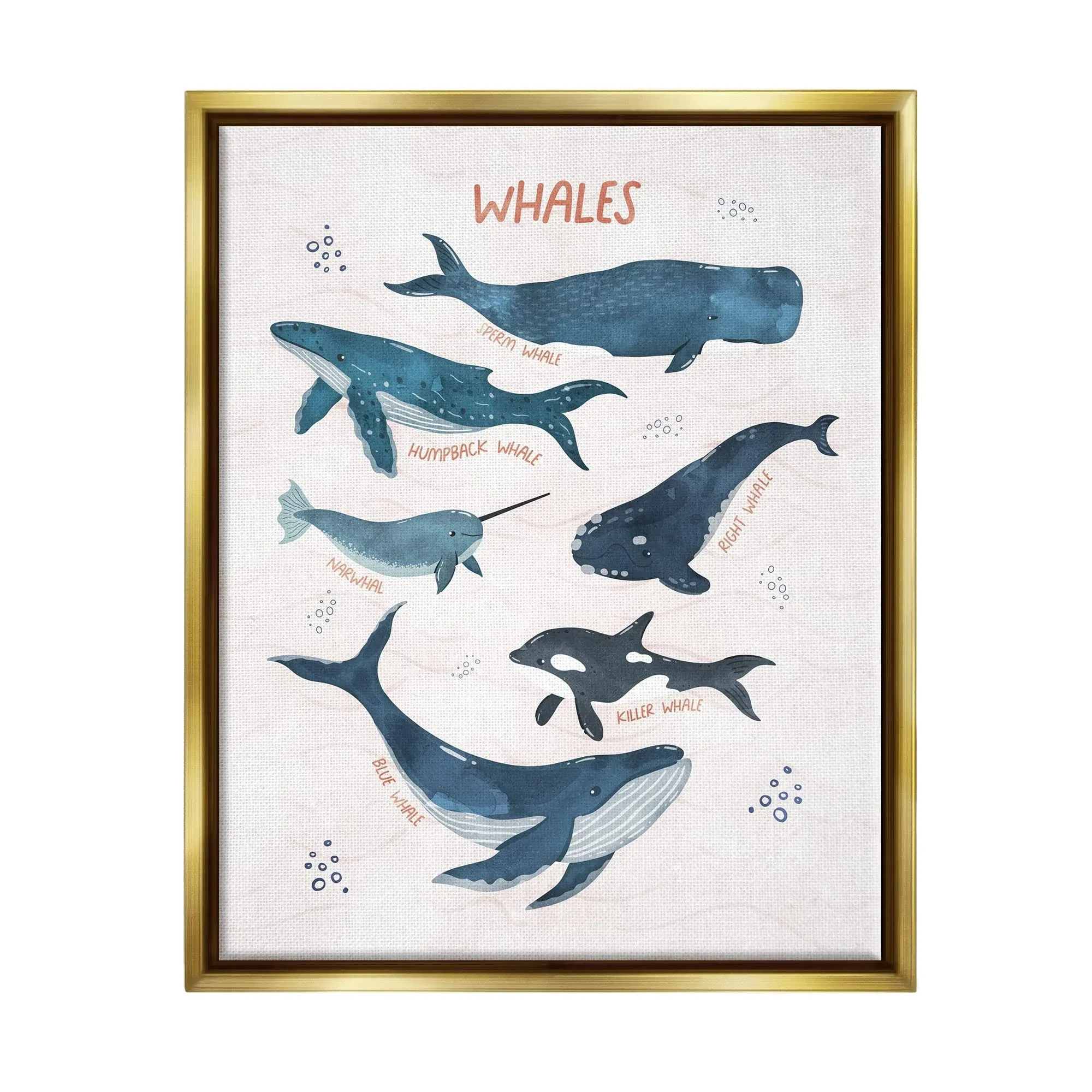 Stupell Industries Nautical Diagram Whale Narwhal Types Bubbles Illustration, Design by Nina Blue, 1.50" x 1.50", Gold Floater Framed