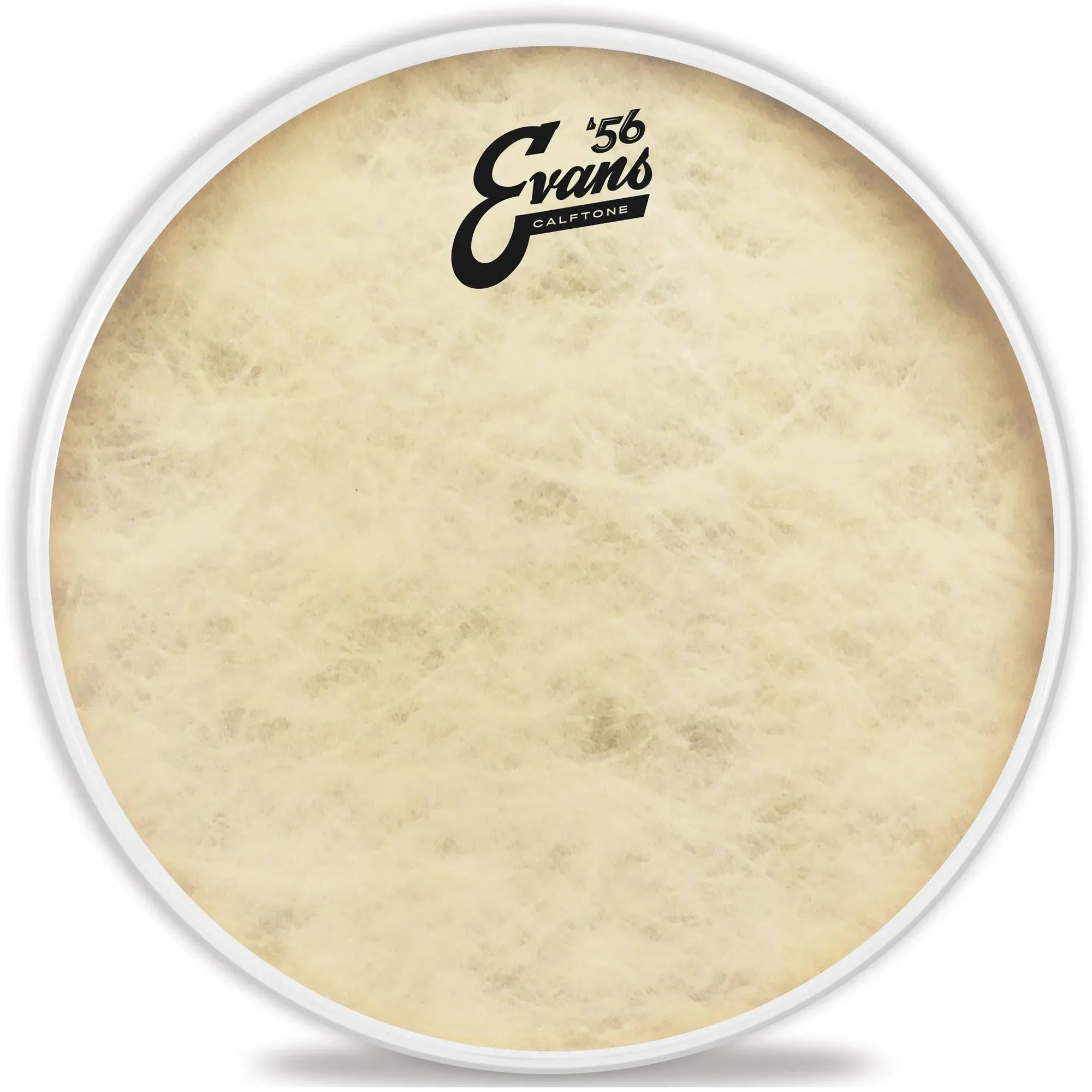 Evans Calftone Drum Head