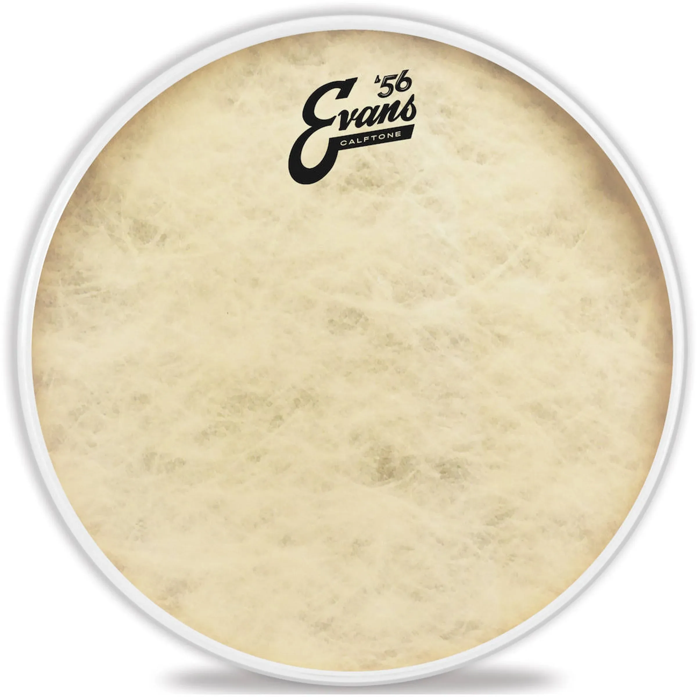 Evans Calftone Drum Head