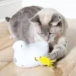 PetSafe - Peek-a-Bird Electronic Cat Toy