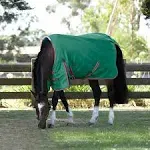 Weatherbeeta ComFiTec Prelim Standard Neck Medium Green/Red/White 72