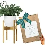 UppWell | Adjustable Wood Plant Stand Indoor | Sturdy Eco-friendly Bamboo | Mid Century Modern Flower & Plant Pot Holder | 8-12 Inch Tall, Large, Short, Small Planter | Plant A Tree With Each Purchase