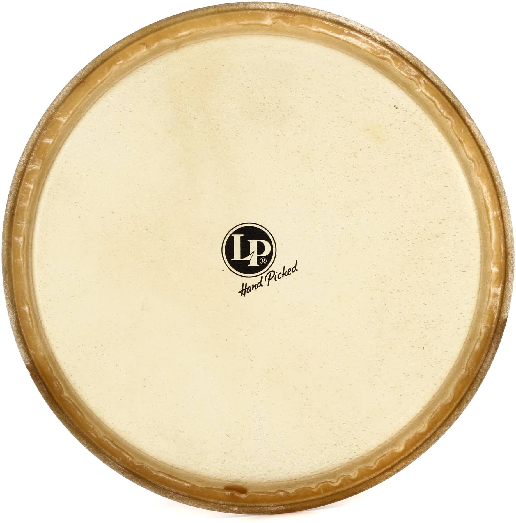 Latin Percussion LP265B 11.75" Replacement Conga Head