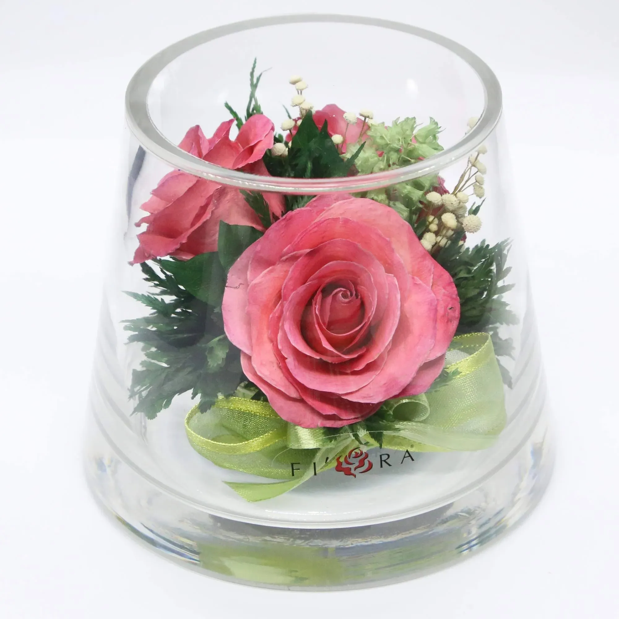 Fiora Flower | Long Lasting Roses in a Sealed Glass Vase | Fresh Cut Roses – Preserved Roses| Unique Present Gift (Small Cylinder)