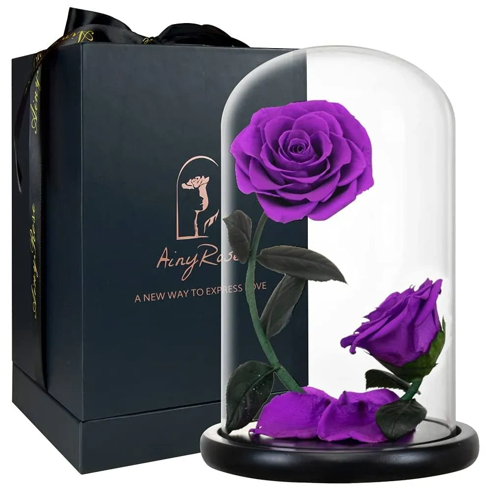 Forever Preserved Rose Gifts for Women Flower Rose in A Glass Dome Anniversary for Mom Her Valentines,Anniversary (Purple)