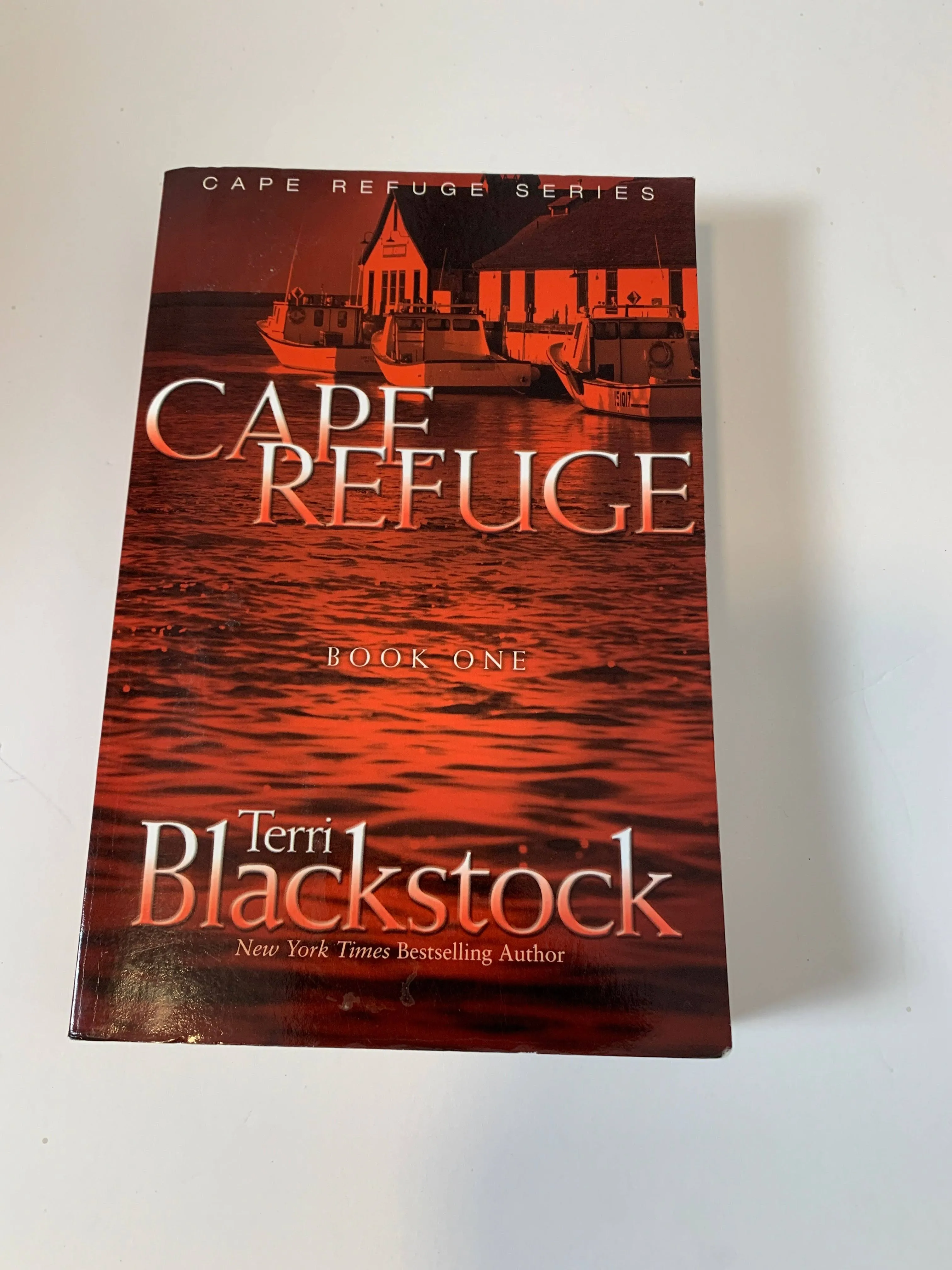 CAPE REFUGE The Cape Refuge Series Book 1 Terri Blackstock FREE SHIPPING terry