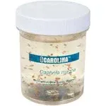 Carolina Biological Supply Company Daphnia magna Culture, Living