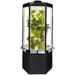 Aerospring Indoor Hydroponic Growing System 2.0 – Grow 27 Lettuce, Vegetable, Herb & Fruiting Plants | Includes Grow Tent, 150W LED Grow Lights, Fan