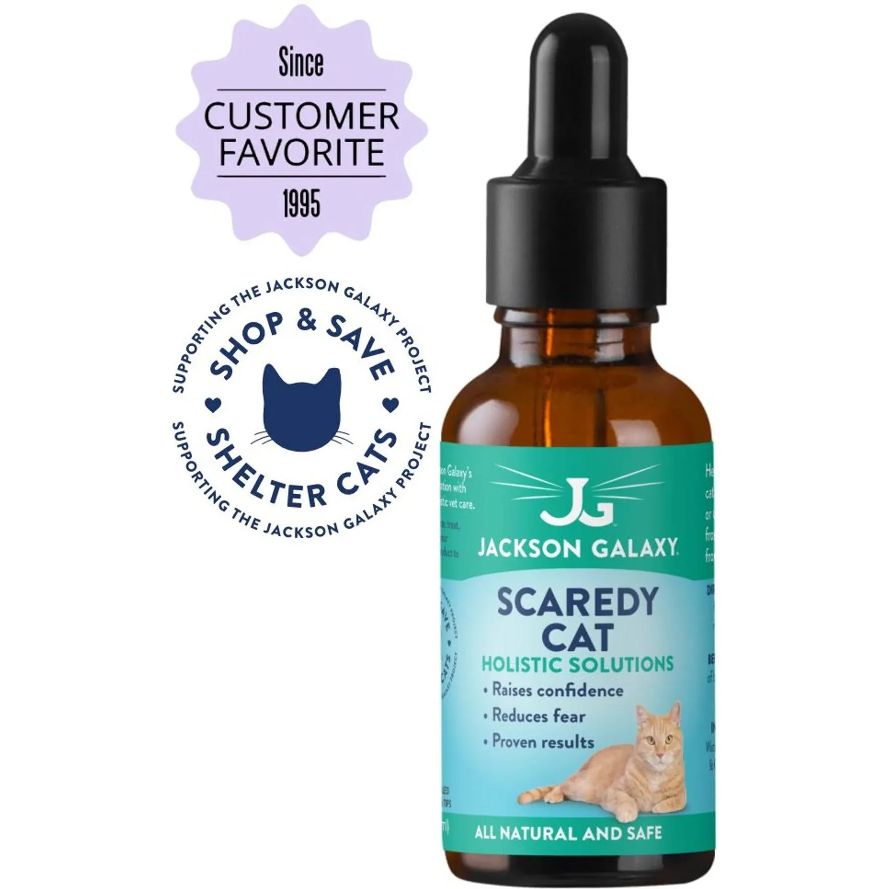 Jackson Galaxy Scaredy Cat Solution