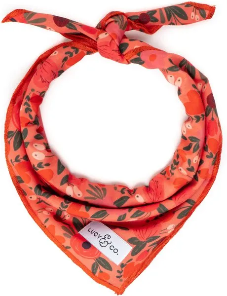 Lucy & Co Bandana Posy Pink Small