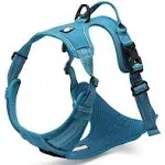 Chai's Choice - Premium Outdoor Adventure Dog Harness - 3M Reflective Vest with Two Leash Clips, Matching Leash and Collar Available (Teal Blue Large)